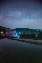 lake in the night