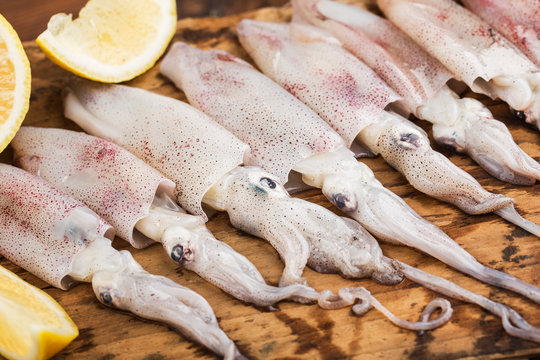 fresh octopus or squids raw on wooden board with ingredients