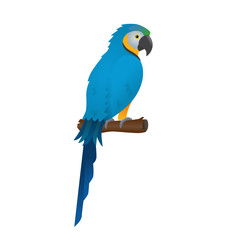 Parrot, macaw vector icon. Bird art.