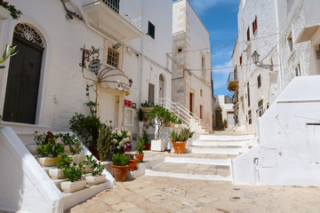 Scenic sight of the Ostuni town sunny street with blooming flowers, Apulia region, Italy, Adriatic Sea