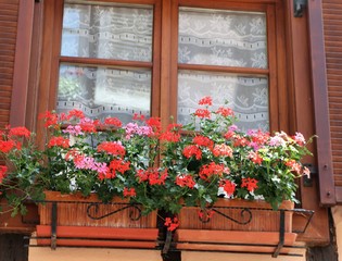 Fototapeta na wymiar Window Flower Box 