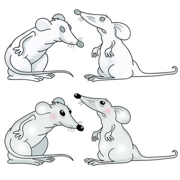 souris-1