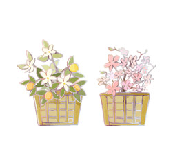 Watercolor-style-illustration-of-mandarin-orange-and-cherry(vector)