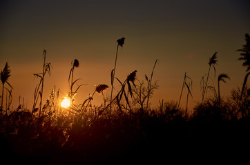  sunset evening by the river