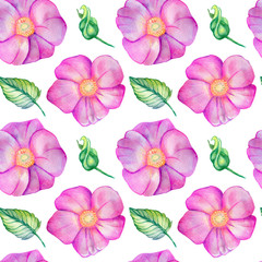 Watercolor seamless pattern with rose hips.