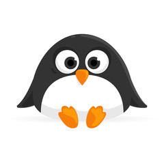 vector illustration of a penguin isolated on white
