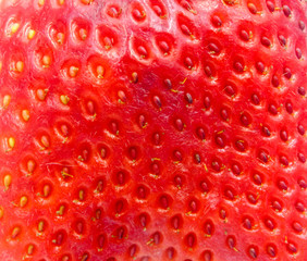 red strawberry background of strawberries