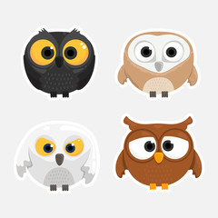 vector set of owl cartoons