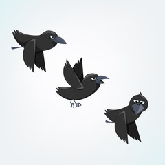 vector illustration of three ravens flying