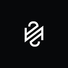 Outstanding professional elegant trendy awesome artistic black and white color NZ ZN initial based Alphabet icon logo.