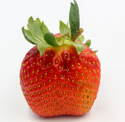strawberry isolated on white background