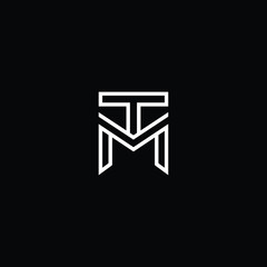 Outstanding professional elegant trendy awesome artistic black and white color MT TM initial based Alphabet icon logo.