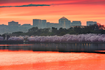 Washington DC, USA Skyline on the River