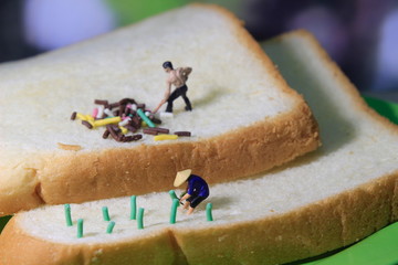 Photo close up top view Miniature Figure Farmer toy working  at Bread