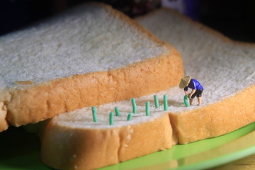 Photo close up top view Miniature Figure Farmer toy working  at Bread
