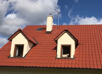 Cat in a Dormer
