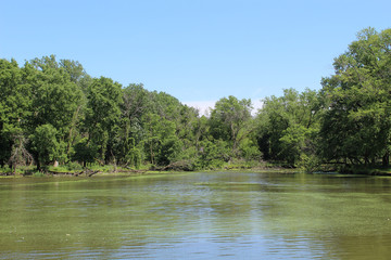 Fototapeta na wymiar Skokie Lagoons in Winnetka, Illinois in summer