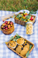 Fruit and berries in picnic baskets on a blue white checkered tablecloth on a green lawn and fresh pastries.