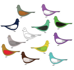 Bird Pattern