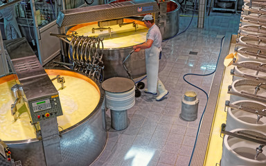 during industrial production of wellknown Gruyere cheese