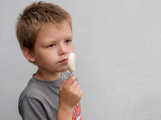 Young beautiful child with pleasure eats ice cream. Eskimo on stick. boy in gray T-shirt is enjoying wonderful meal.