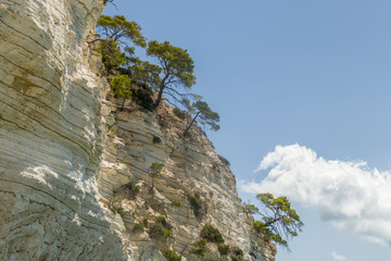 Baia delle Zagare in Mattinata