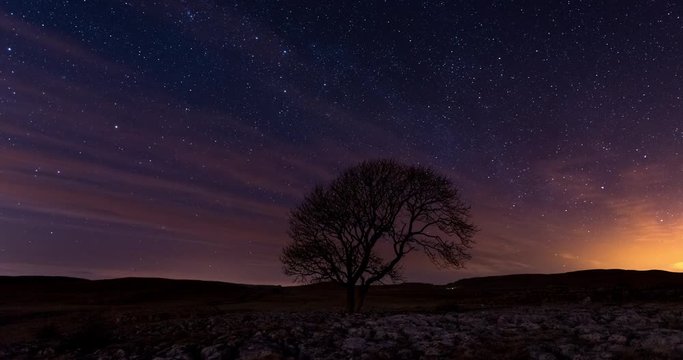 Timelapse clip of stars behind a lone tree at night.