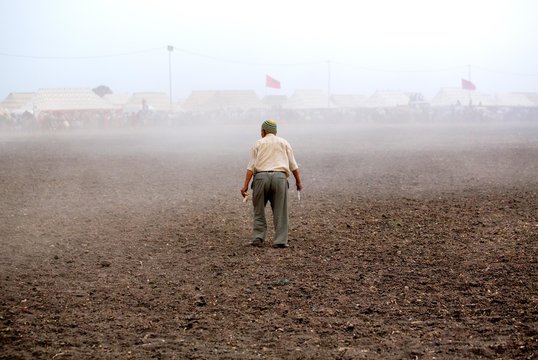 Tbourida: Une histoire &eacute;questre