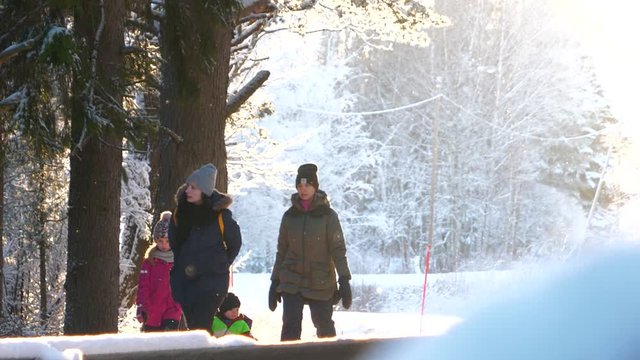 Women and kids walking in winter wonderland, Slow Motion