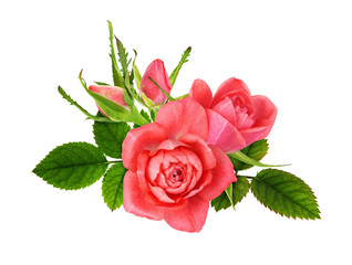 Coral rose flowers, buds and green leaves in a floral arrangement