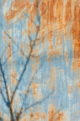 rusty metal surface painted in blue color with a shadow on the tree branches. vertical image.
