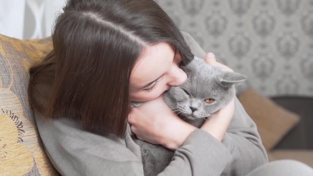 Beautiful girl is sitting in her room, holding a grey cat on her hands and smiling. Girl is kissing her cat and hugging.