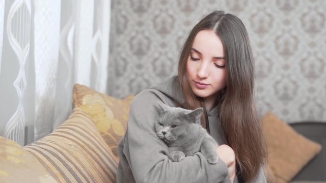Beautiful girl is sitting in her room, holding a grey cat on her hands and smiling. Girl is kissing her cat.