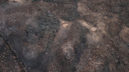 Nature from a camera in the middle of winter in the Canary Islands