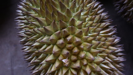 Naklejka na ściany i meble King of Fruits, Durian is a popular tropical fruit in Asia