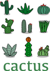 Flat green cactus design icon.