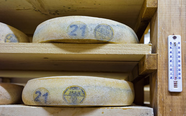Obraz na płótnie Canvas Shelves of aging Cheese in ripening cellar of Franche Comte creamery in France. Mixed media.