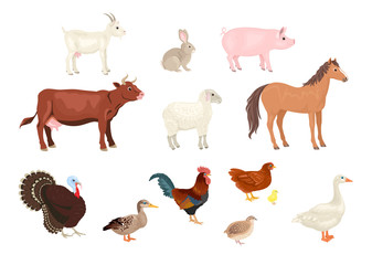 Farm animals and birds set isolated on white background. Vector illustration of  horse, cow, goat, sheep, pig and rabbit. Turkey, goose, duck, quail, rooster and chicken in cartoon simple flat style.