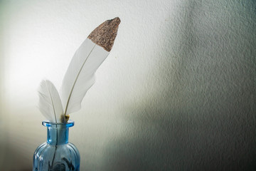 goose quill and inkwell on the wall background
