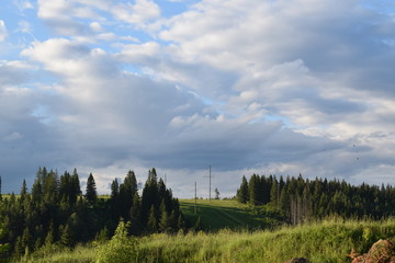 landscape with trees and clouds