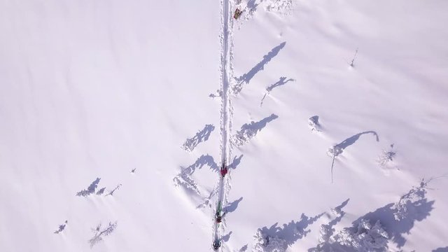 Top down view on ski touring group passing by on the mountains with snow