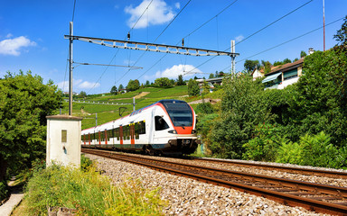 Running train at Lavaux Vineyard Terrace hiking trail, Lavaux-Oron district, Switzerland. Mixed...