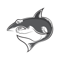 Shark Isolated on White Background. Fish Animal Logo.