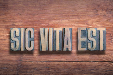 sic vita est wood