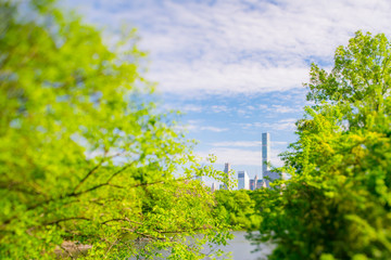 Fototapeta premium Midtown Manhattan skyscraper stand beyond the many growing fresh green trees along The Lake in Central Park in Central Park New York City NY USA on May. 08 2019.