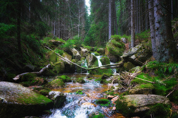 A small river at the Brocken mountain