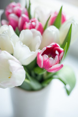 Colorful tulip flowers in front a window