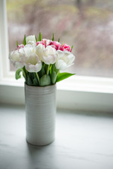 Colorful tulip flowers in front a window