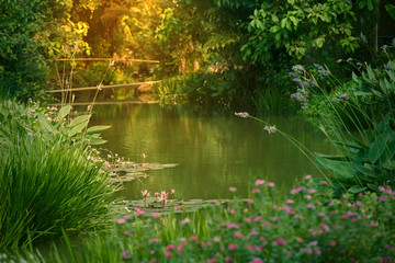 Garden atmosphere with bridge and water stream and sunlight