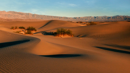 Fototapeta na wymiar Mesquite Dunes suothwest USA sand